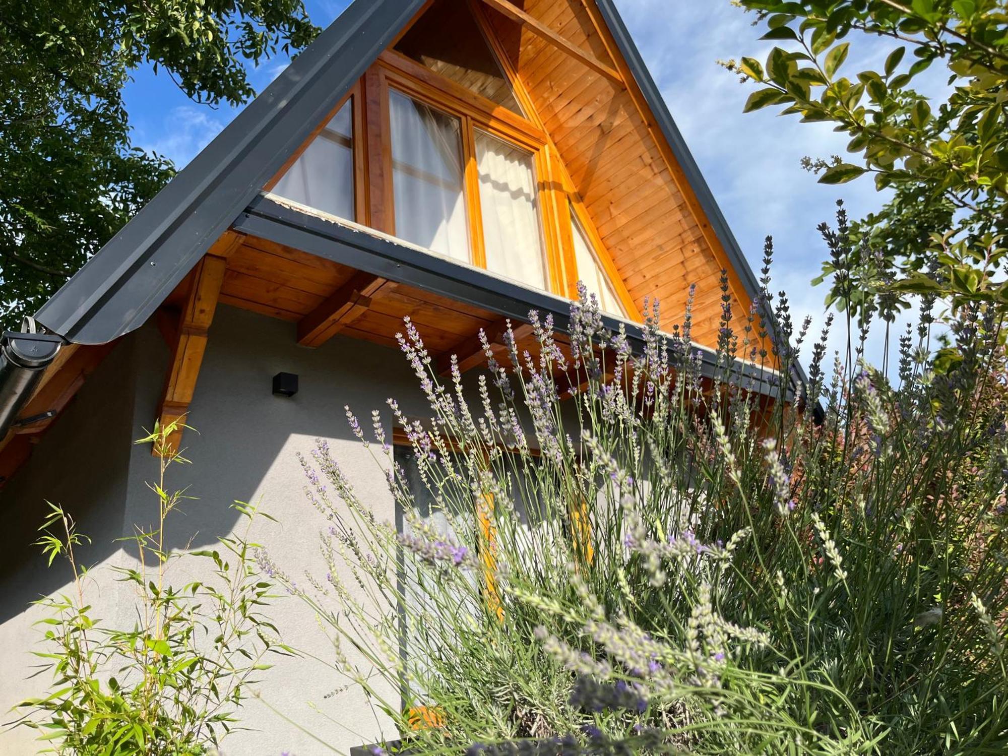 Petrovaradin Chalet Нови Сад Екстериор снимка
